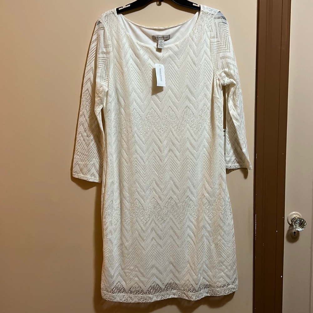 Banana Republic Heritage White Dress (16)